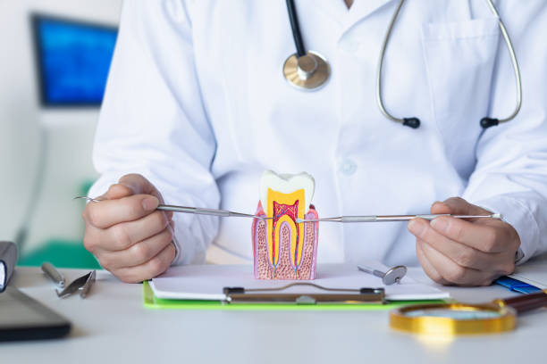 Best Chipped Tooth Repair Near Me  in Lakes West, CT
